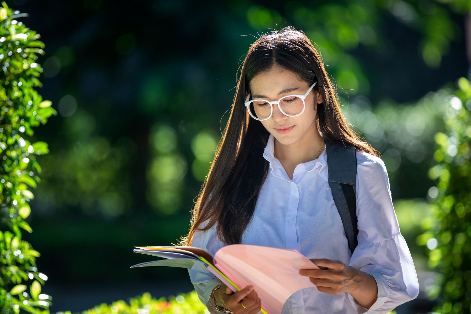 Student studying in the Summer